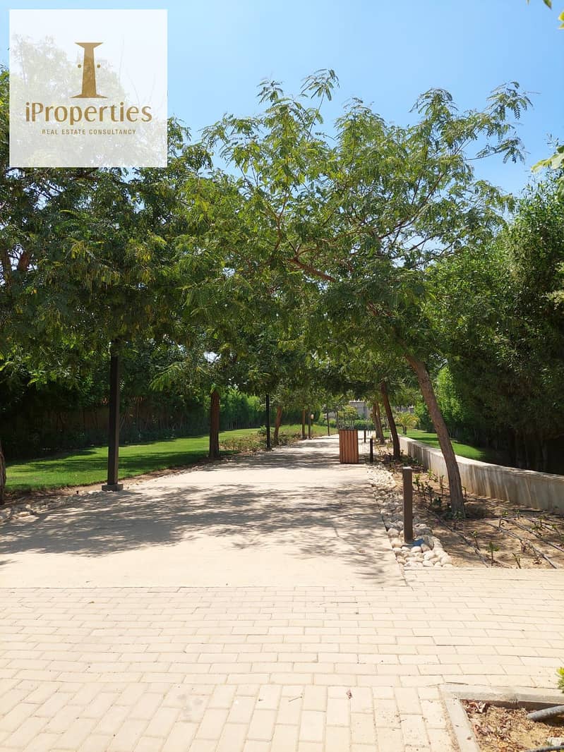 6 5c177618-2949-4184-853d-c4694876bf81. jpeg