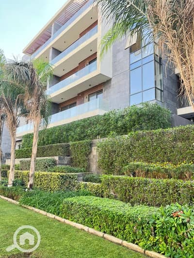 3 Bedroom Apartment for Sale in New Cairo, Cairo - WhatsApp Image 2025-12-29 at 5.18. 08 PM (3). jpeg