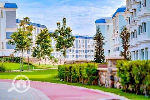 11 575125204_122147693726719532_3345648665468753346_n. jpg