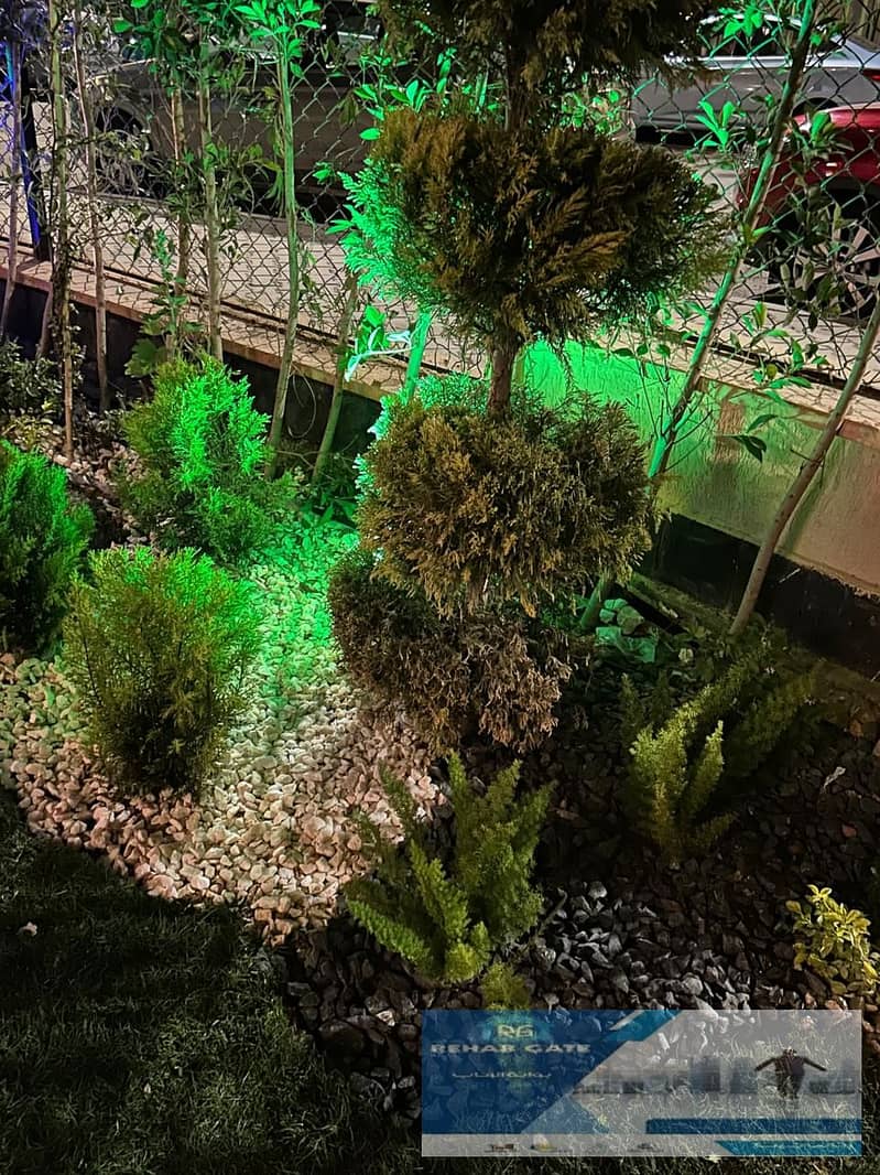 7 08a48262-59a8-4a9d-b3a6-0f0874c66fac. jpg