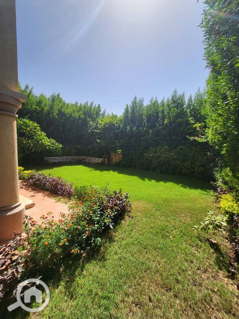 7 80f45f16-f74f-4f3a-9788-73bb82e48ff8. jpg