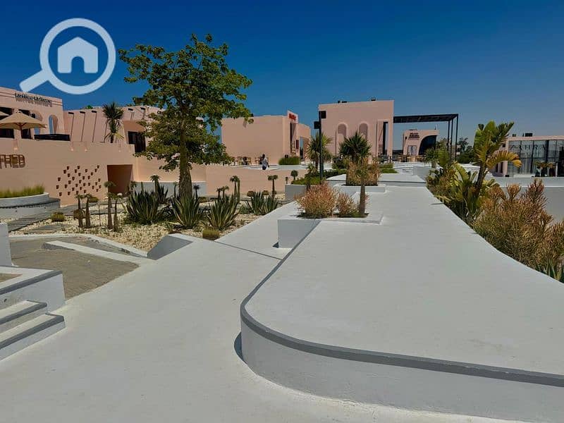 4 WhatsApp Image 2025-06-30 at 1.13. 43 PM_800x600. jpg