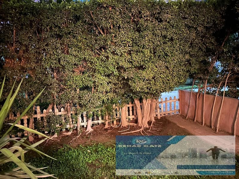 2 WhatsApp Image 2026-01-07 at 3.46. 17 PM (2). jpeg