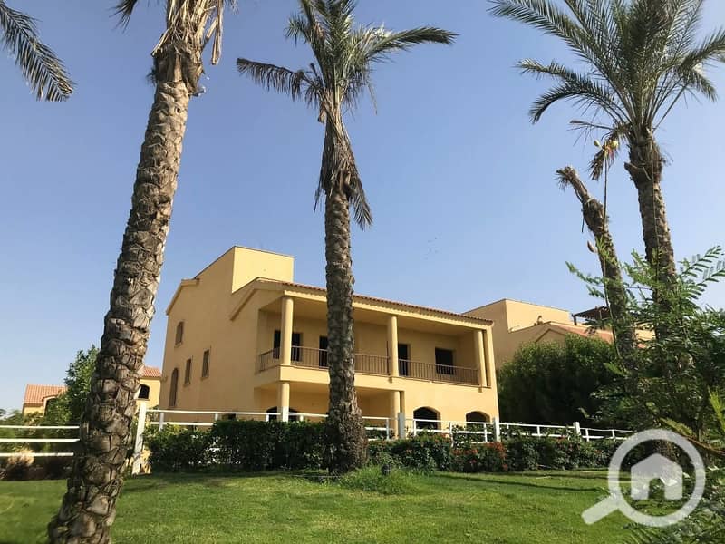 11 bb855727-4f48-4fa3-a8ae-0e316bd21915. jpg