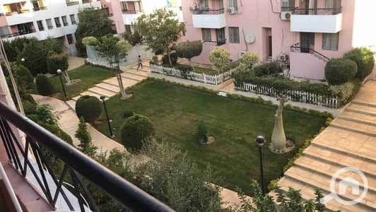 شقة 3 غرف نوم للايجار في القاهرة الجديدة، القاهرة - 1000131982. jpg