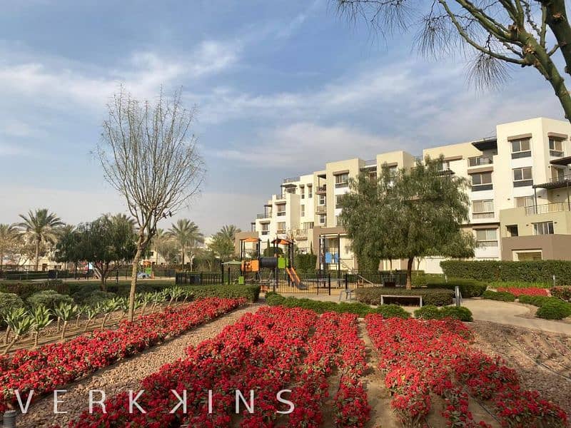 6 IMG-20230321-WA0033. jpg