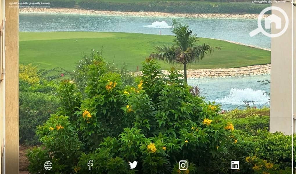 3 31f8ef87-fda5-4e67-92bb-e482ce07bdca. jpg