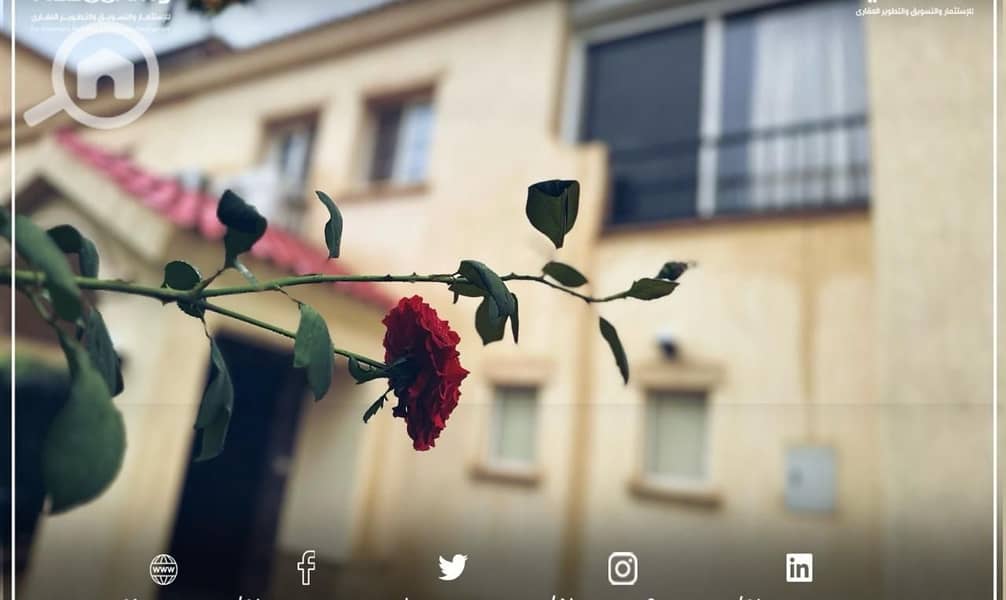 4 432f1fb5-502d-4216-8cc1-1be529e7332b. jpg