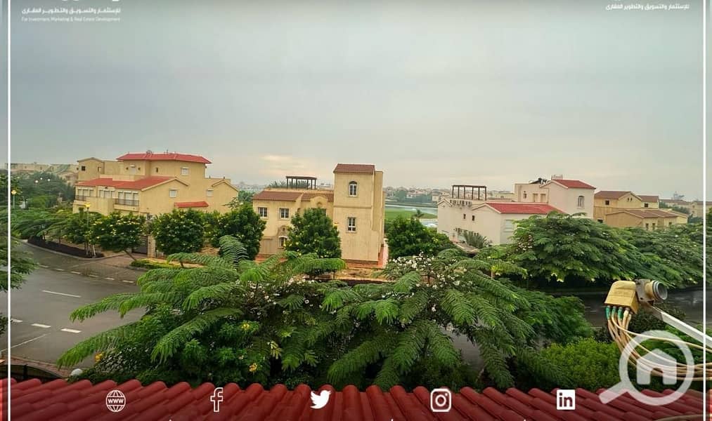 21 d5572e77-bb40-4f37-bb7f-6537c61dbb25. jpg