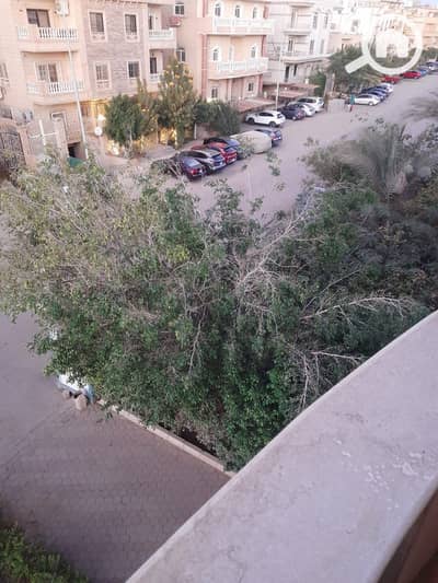 فلیٹ 3 غرف نوم للايجار في القاهرة الجديدة، القاهرة - WhatsApp Image 2026-01-03 at 5.22. 03 PM. jpeg