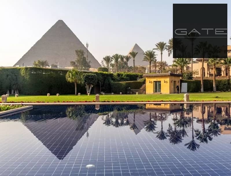 3 3635099-595f0o_11_11zon. jpeg