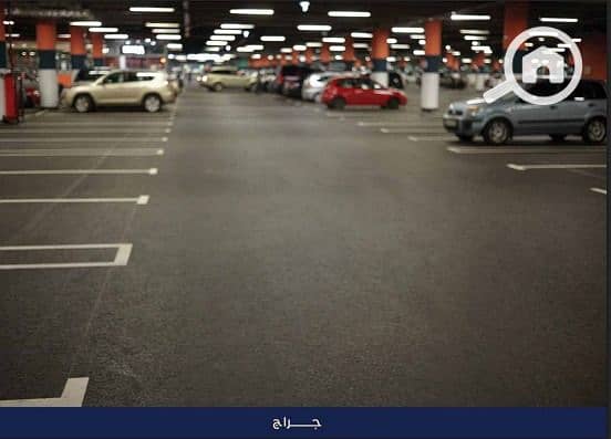 33 WhatsApp Image 2025-12-21 at 12.38. 56 (4). jpeg