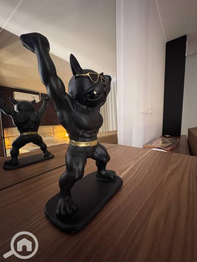 استوديو  للايجار في القاهرة الجديدة، القاهرة - IMG-20260104-WA0108. jpg