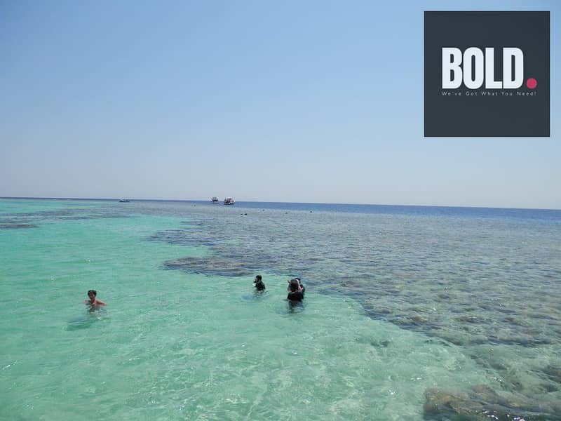 13 egypt-hurghada-soma-bay-beach-reef-orig. jpg