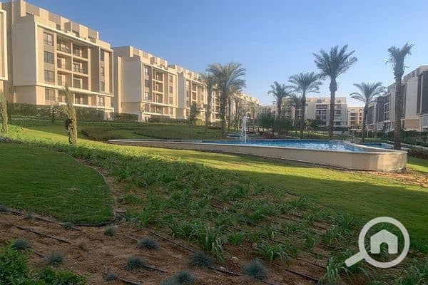 12 d52fa2e8-5318-4bf1-bf25-2900ce434dc9. jpg