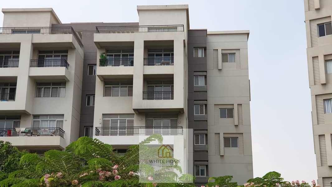 9 IMG-20250123-WA0038. jpg