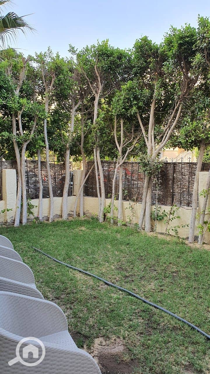 2 ff9c93ad-ab0f-4bfa-a320-79d0a9a7e719. jpg