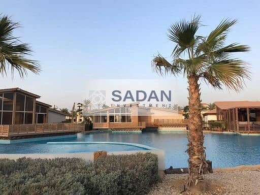 13 62cd6f5e-3fbf-448c-bcc8-4418cd0ebdf3. jpg