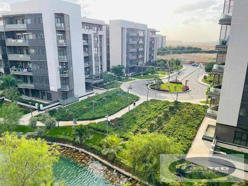 5 095743fc-1ddc-4953-a5db-96b48da2e93a. jpg