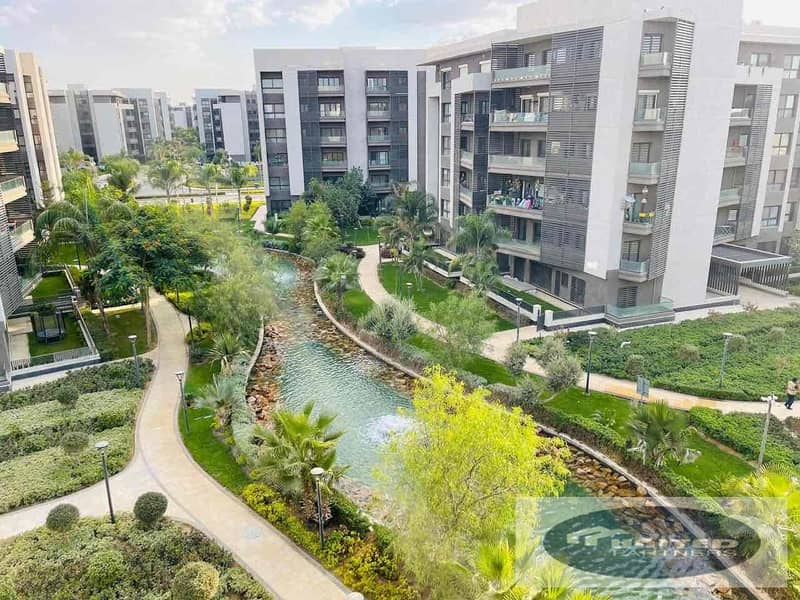 8 d8c0a934-a725-4e8b-b533-0655246d6808. jpg