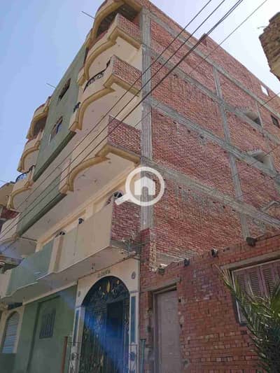 11 Bedroom Other Residential for Sale in Qutour, Gharbia - 1000254250. jpg