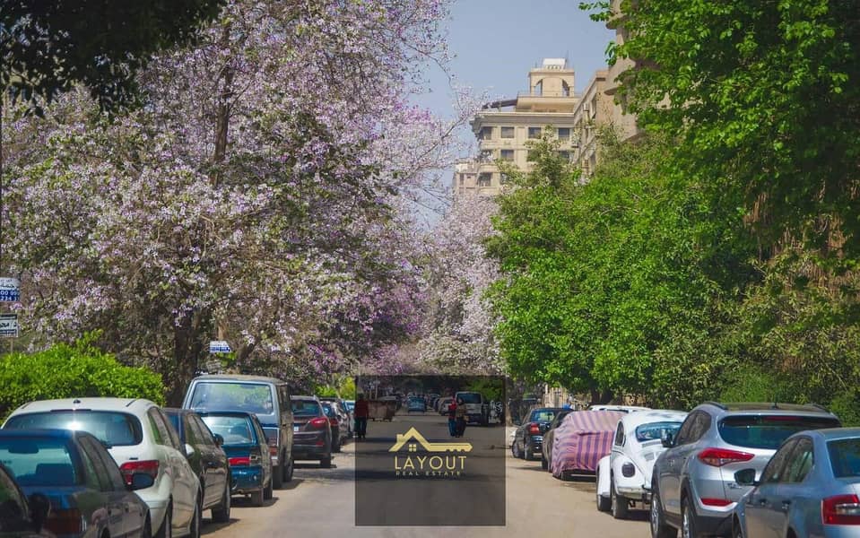 2 حي-المعادي. jpg