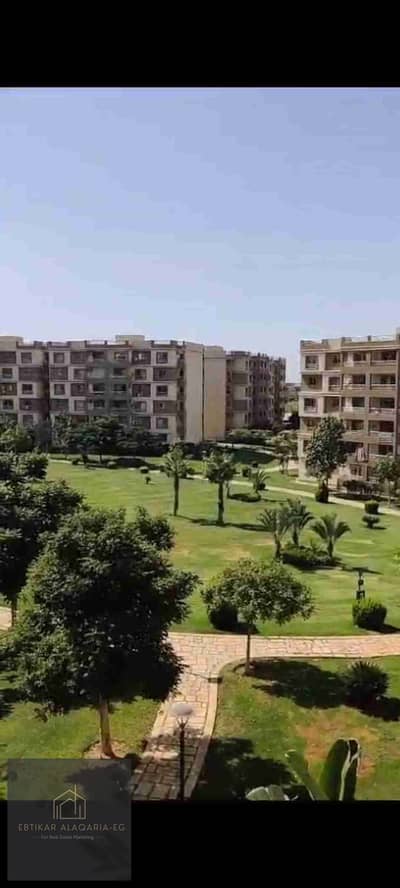 3 Bedroom Flat for Rent in Madinaty, Cairo - 1000868526. jpg