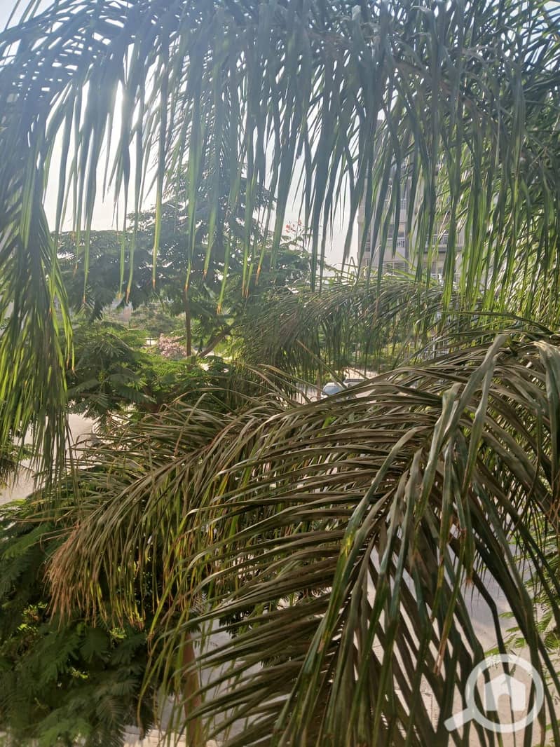 6 WhatsApp Image 2026-01-04 at 17.04. 16. jpeg