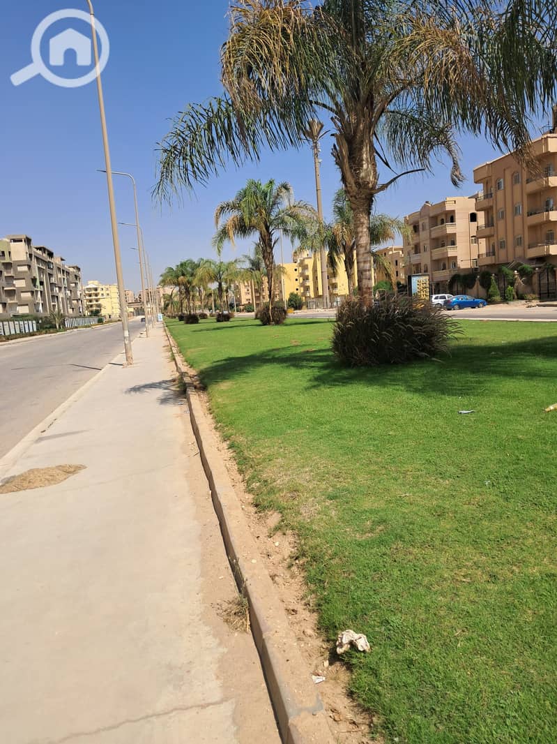 2 ٢٠٢٥٠٦٢٣_١٠٠٨٢٥. jpg