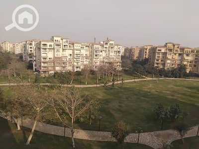 3 Bedroom Flat for Rent in Madinaty, Cairo - 51f35e77-03bc-4fc0-8346-7edfc76eff11. jpg 3 Bedroom Flat for Rent in Madinaty, Cairo - 51f35e77-03bc-4fc0-8346-7edfc76eff11. jpg