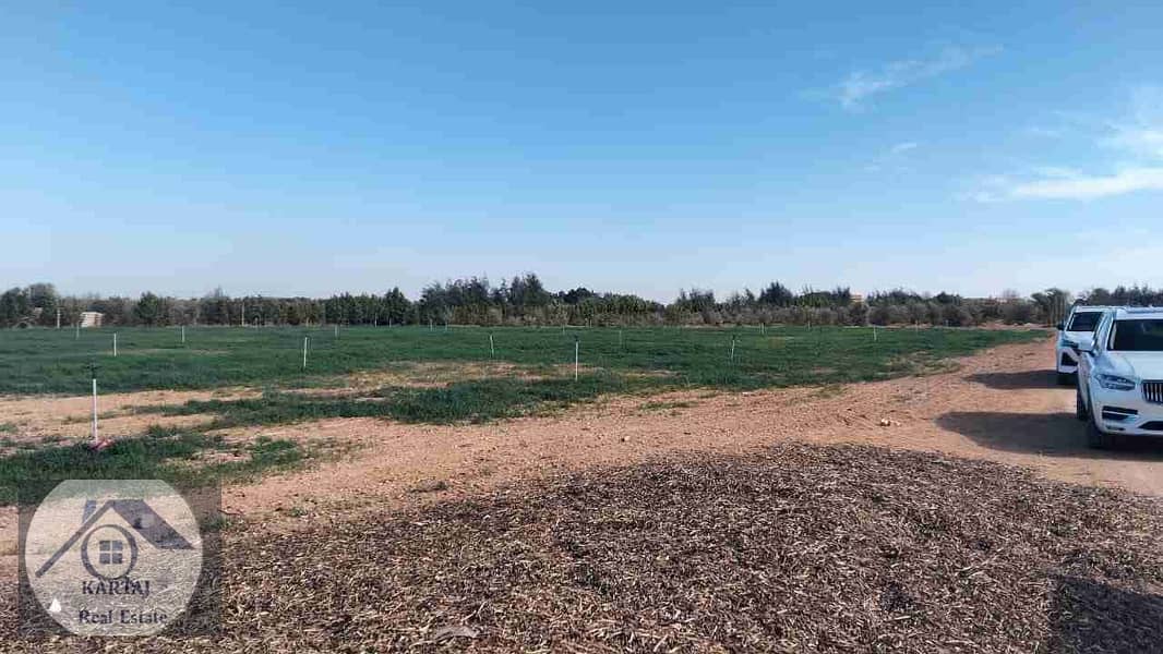 1000479853. jpg 1000479853. jpg