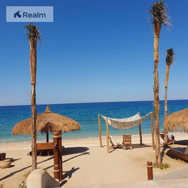 9 510972262_10171468645695386_6918707222385766061_n. jpg