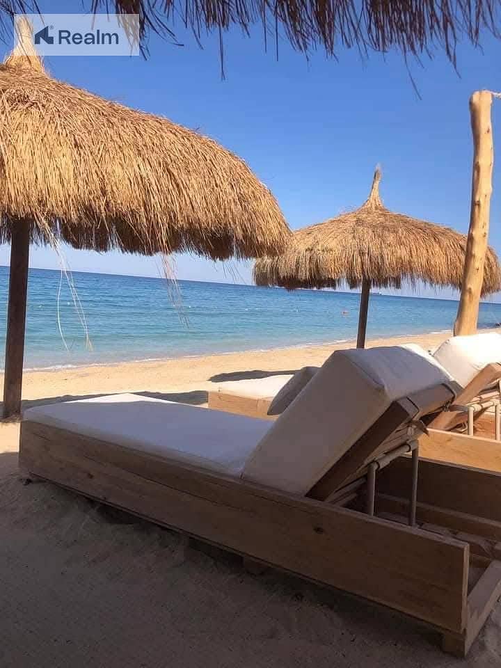 11 514637834_122143022126782987_1618426348863501467_n. jpg