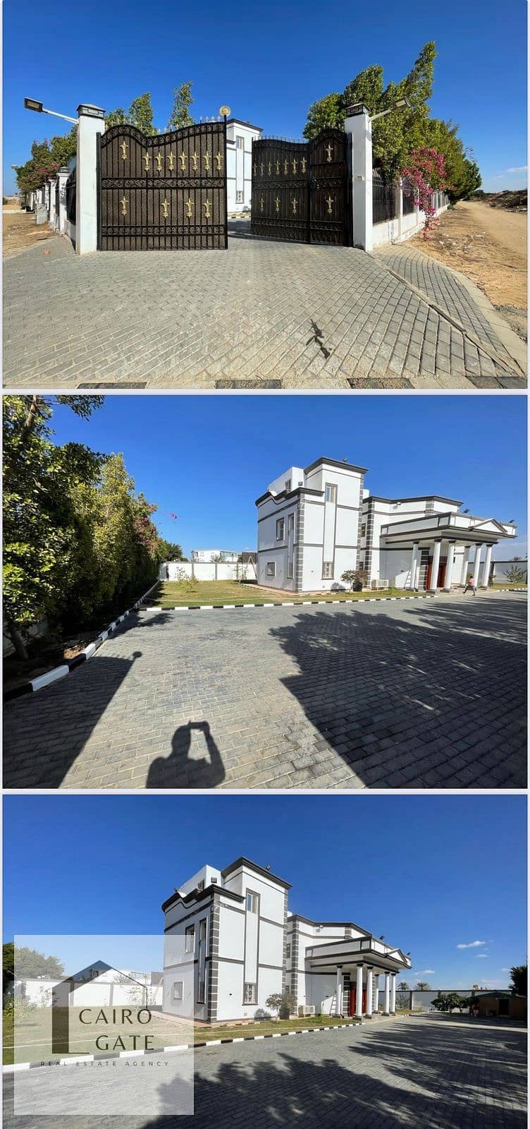 2 2de9d5b7-d44f-4b25-b7dc-4f73058d587b. jpg