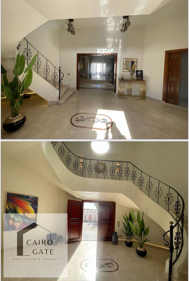 15 e81499e3-58b7-4714-a6b5-50675a76605a. jpg