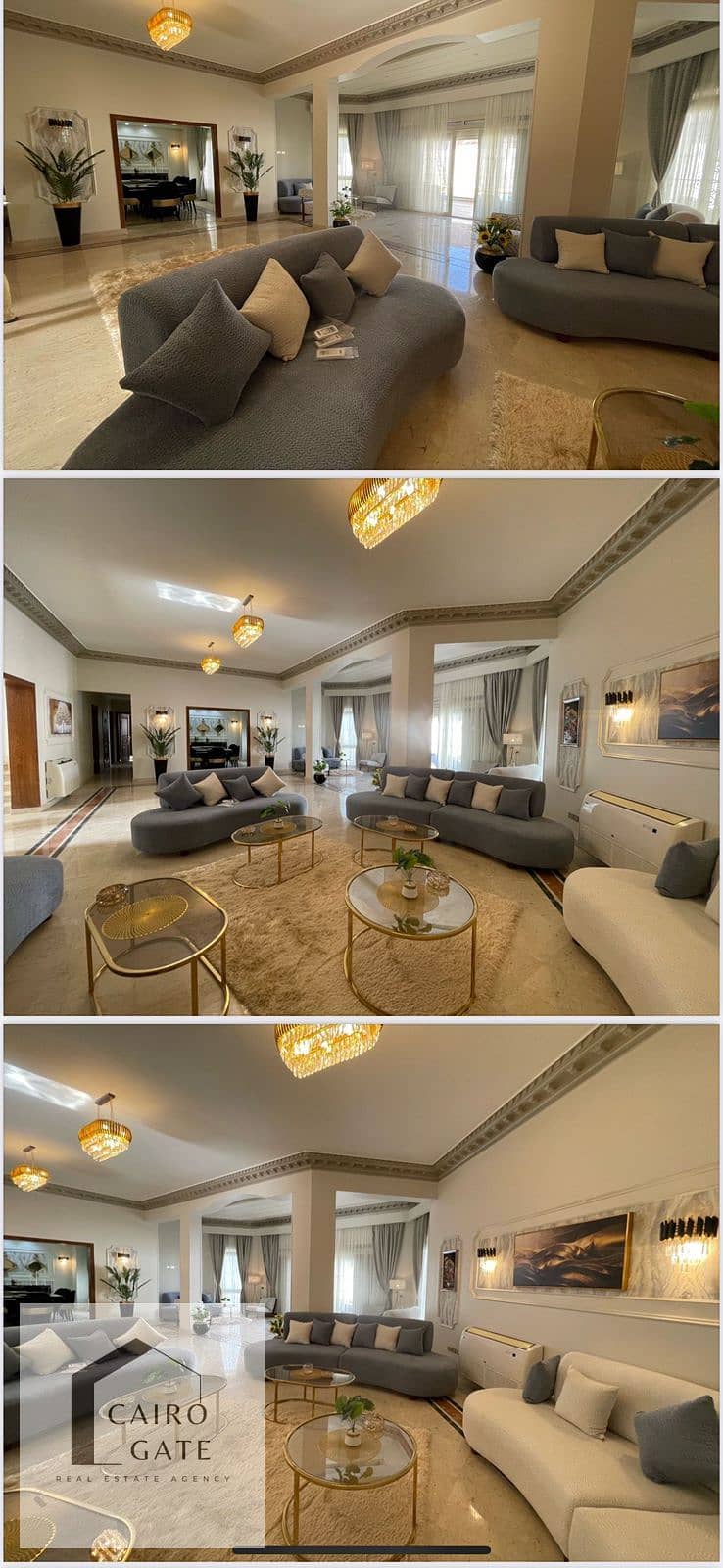 16 ee705664-d400-4000-997c-c15806149aac. jpg