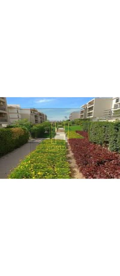 2 Bedroom Apartment for Rent in New Cairo, Cairo - 55. jpg 2 Bedroom Apartment for Rent in New Cairo, Cairo - 55. jpg