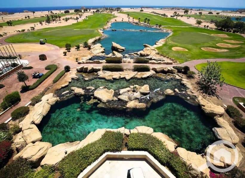 12 aaf3a3a1-05d9-41d2-8481-aa98082b7b50. jpeg