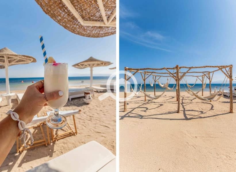 13 ae3e6062-ac6e-449e-9670-4c0ad3708e01. jpeg