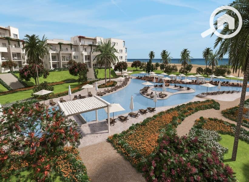 19 de08d9f5-c0f0-4851-bd2c-26df487ebf73. jpeg