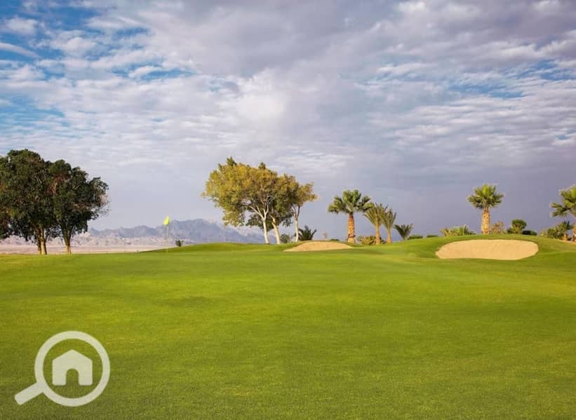 21 ed4f5c65-1e20-46de-ab64-0e29438a6b58. jpeg