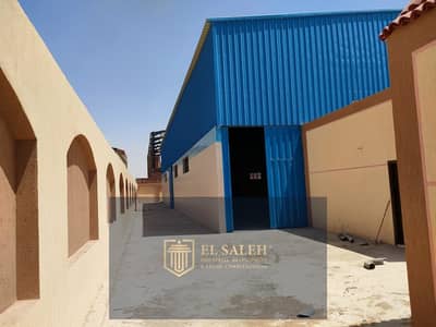 Factory for Rent in 10th of Ramadan, Sharqia - IMG-20240115-WA0080. jpg