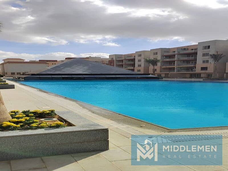 6 WhatsApp Image 2025-10-16 at 15.18. 28_d9d28cb1. jpg