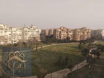 4 Bedroom Apartment for Rent in Madinaty, Cairo - WhatsApp Image 2026-01-07 at 1.37. 06 PM. jpeg