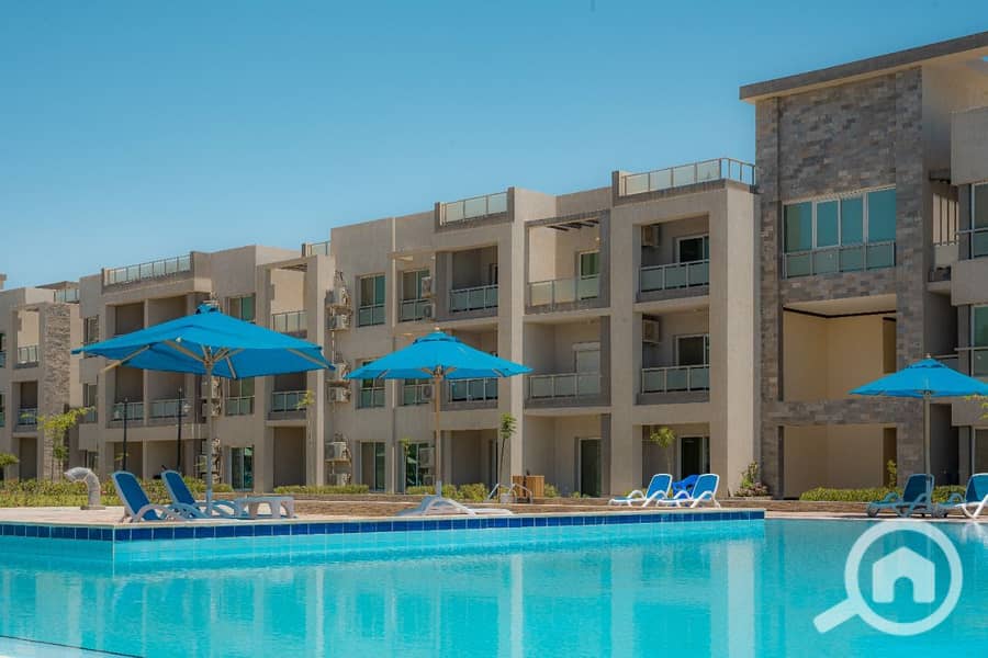 5 24e6f41b-e740-4ac2-a627-9bbd94aade35. jpg