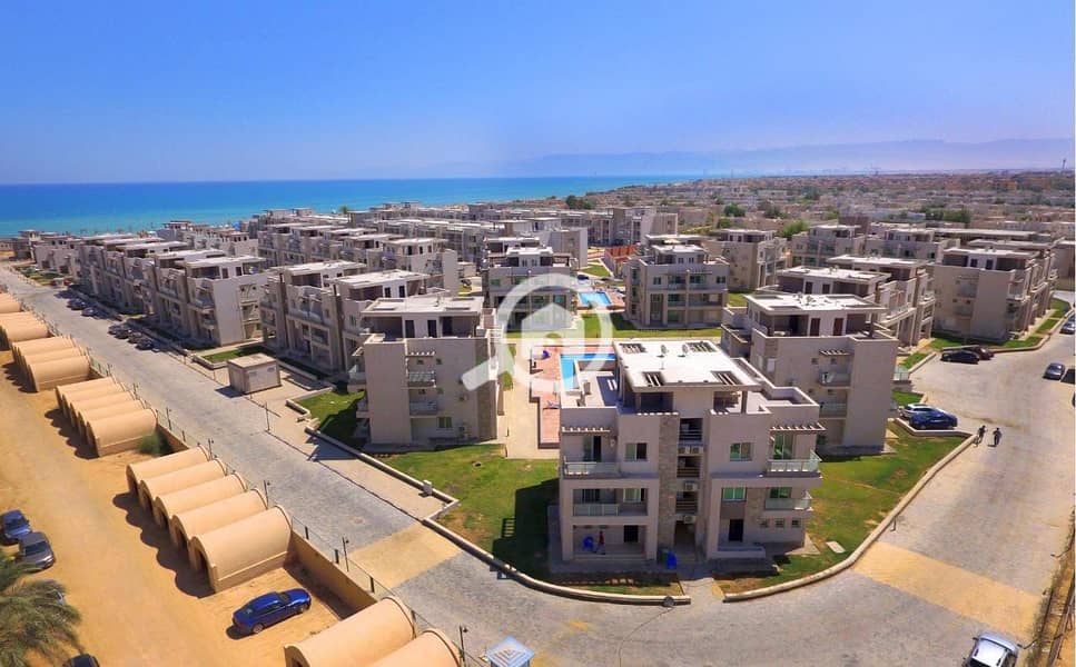 21 ac96724a-34a5-4f05-95c2-0fc69a61081b. jpg