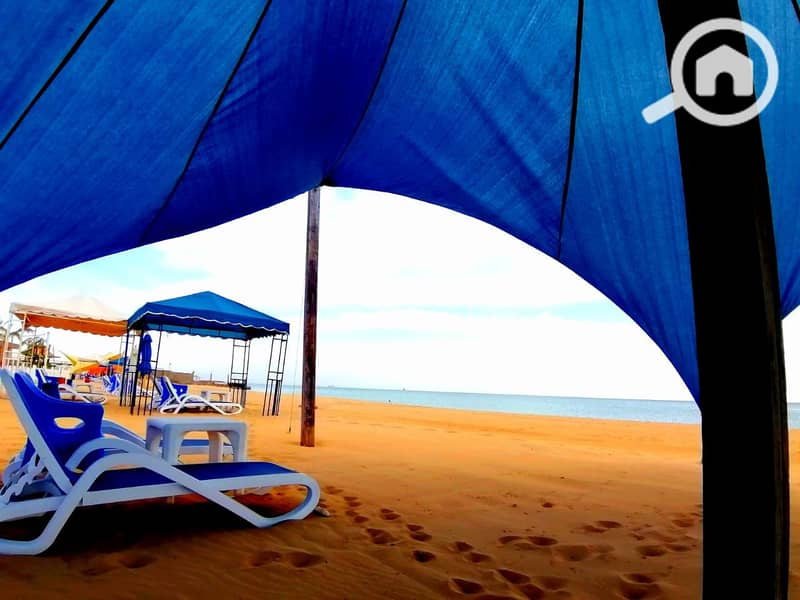 6 40fed427-72ab-4e1e-abe5-edd5923096be. jpg