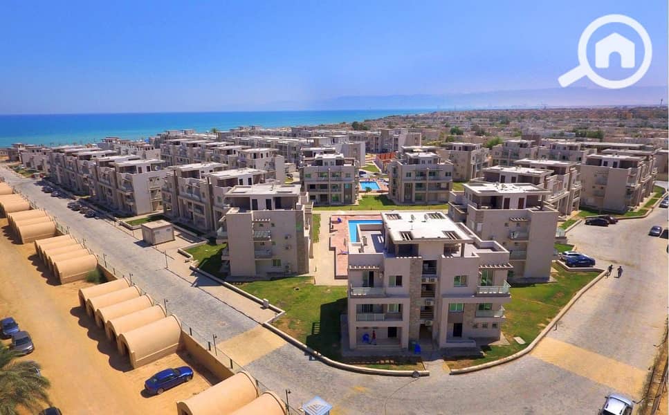 21 ac96724a-34a5-4f05-95c2-0fc69a61081b. jpg