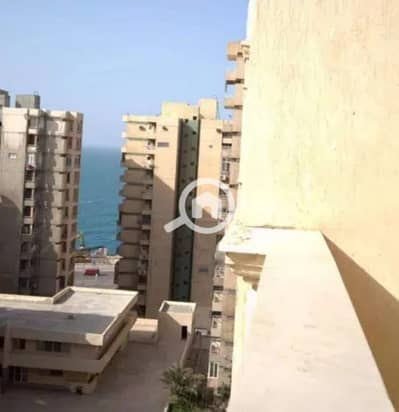 3 Bedroom Apartment for Rent in Laurent, Alexandria - 6b3435e0-b31d-447c-9a2d-14aa0a3787eb. jpg 3 Bedroom Apartment for Rent in Laurent, Alexandria - 6b3435e0-b31d-447c-9a2d-14aa0a3787eb. jpg