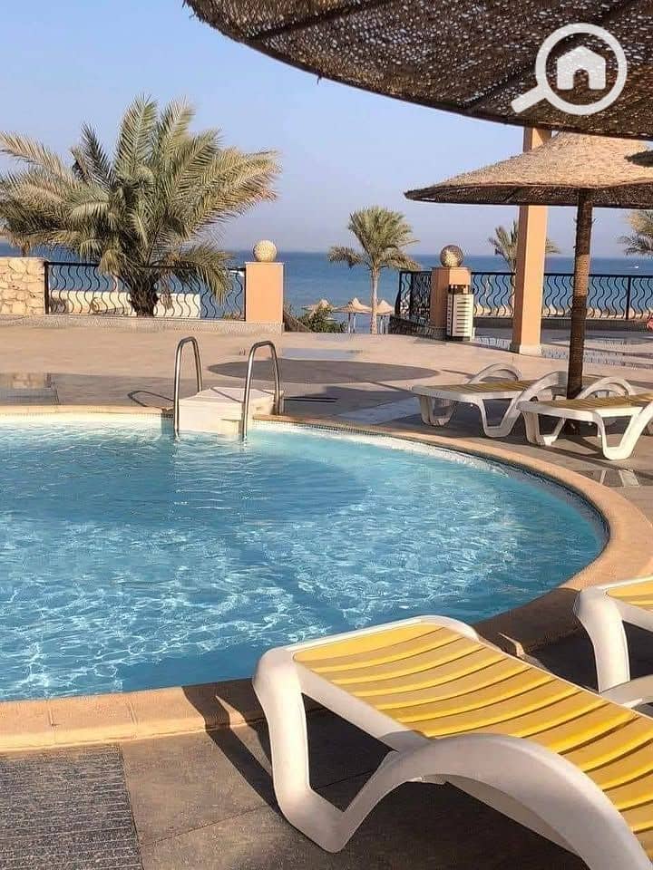 3 515486740_24328823160054907_3004254810688338146_n. jpg